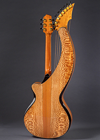 Custom Harp Guitar