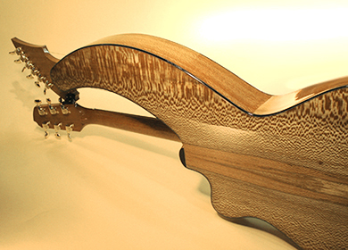 Custom Harp Guitar