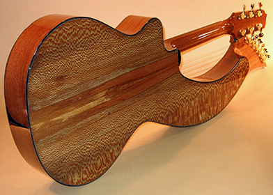 Custom Harp Guitar