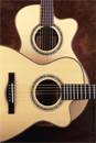 Wingert Guitars Features