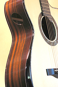 Custom Acoustic Guitar