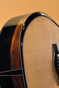 Custom Acoustic Guitar